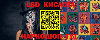 спайс Берёзовский
