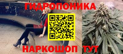 мдпв Бийск