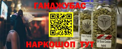 мдпв Бийск